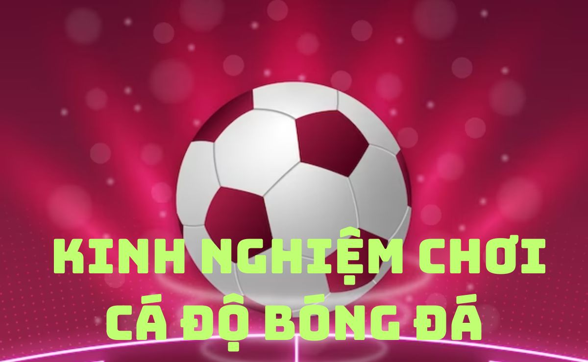 hướng dẫn chơi cá độ bóng đá fi88 cho người mới bắt đầu 6 kinh nghiệm khi chơi cá cược bóng đá fi88